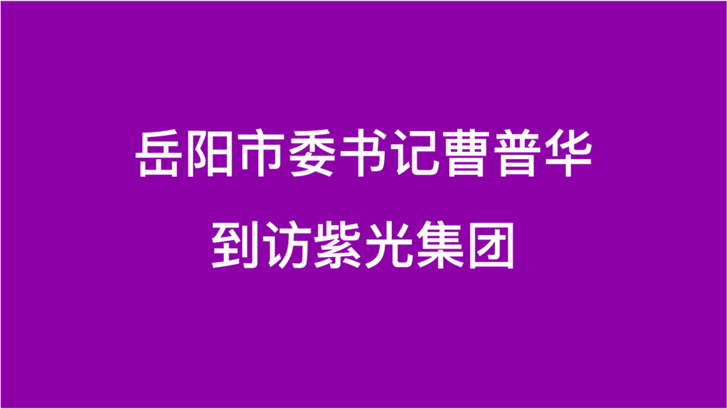 岳阳市委书记曹普华到访K8凯发集团