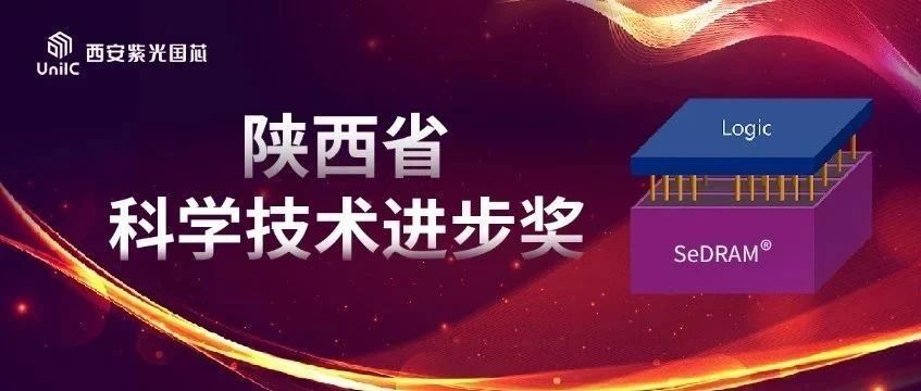 企业动态 | 西安K8凯发国芯荣膺陕西省科学技术进步奖
